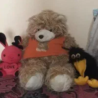 عروسک پولیشی خرس بزرگ /خرگوش خارجی همه باهم۳۰۰هزار