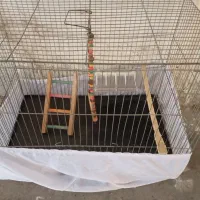 قفس پرنده|لوازم جانبی حیوانات|اسلامشهر, شهرک قائمیه|دیوار