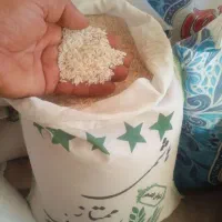 برنج هاشمی و علی کاظمی