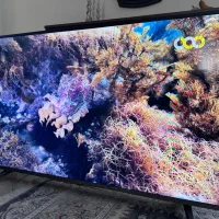 ۴۹ اینچ TCL ال ای دی اسمارت هوشمند درحد آکبند
