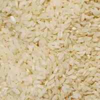 برنج و خورده برنج کامفیروزی|خوردنی و آشامیدنی|شیراز, رکن‌آباد|دیوار