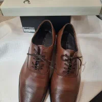 کفش مردانه مجلسی، اداری