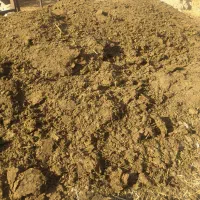 کود گاوی. انبار گاو|گل و گیاه طبیعی|نصر آباد, |دیوار