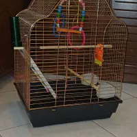 قفس پرنده