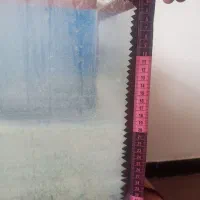 آکواریوم ماهی|ماهی|زاهدان, |دیوار