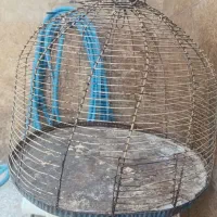 فروش قفس طرقه