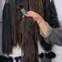 شعبه اصلی وتخصصی مو