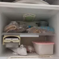 بخچال فریزرجنرال استیل.بدون برفک.کاملاسالم|یخچال و فریزر|بندر دیر, |دیوار