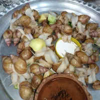 حلزون|خزنده|اصفهان, ارزنان|دیوار