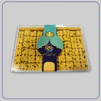 راننده با ماشین آریسان یا وانت با حقوق ثابت