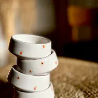 ظروف سرامیک