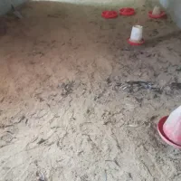 کود مرغی خشک|خدمات باغبانی و درختکاری|مشگین شهر, |دیوار