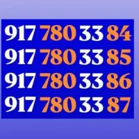 یکجا باهم بفروش می‌رسد