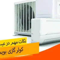 اسپیلت مارک بویمن