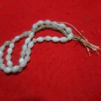 تسبیح صدف قدیمی|جواهرات|رباط‌کریم, رباط‌کریم|دیوار