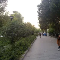 فروش سرقفلی تجاری پامنار