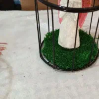 آویز عروسکی نشکن|مجسمه، تندیس، ماکت|خرمشهر, |دیوار