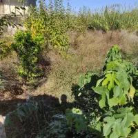 سیصد متر مربع زمین مسکونی درون بافت