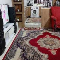 اجاره آپارتمان ۶۵ متری در مرتضی گرد.|اجارهٔ آپارتمان|تهران, دولتخواه جنوبی|دیوار