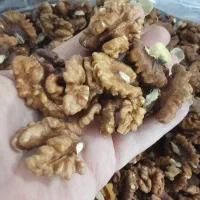 مغز گردو درجه 2|خوردنی و آشامیدنی|شیراز, محراب|دیوار