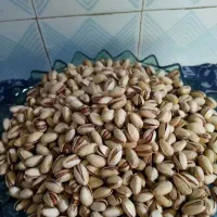 پسته و گردو تازه امسالی