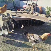 دیکس بابای|ماشین‌آلات صنعتی|بندر ترکمن, |دیوار