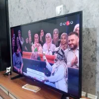 تلوزیون|تلویزیون و پروژکتور|اصفهان, باغ فدک|دیوار