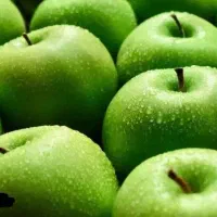 پیش فروش سیب ترش سبز فرانسوی