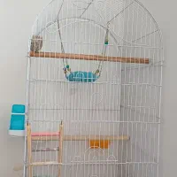 قفس پرنده