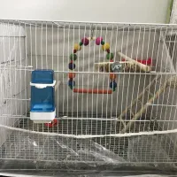 قفس ۴۰ در ۶۰ با لوازم کامل