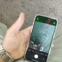 اپل iPhone 16 Plus با حافظهٔ ۵۱۲ گیگابایت|موبایل|گلستان (تهران), |دیوار