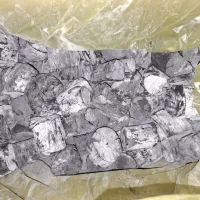 ذغال لیمو جهرم