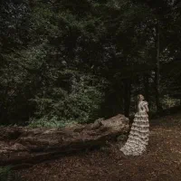 عکاسی و فیلمبرداری تخصصی با مجوز رسمی