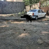 یک دستگاه رنو تندر ال ۹۰ مدل ۹۷ درحد صفر