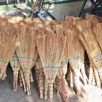 جارو شمالی فروش عمده
