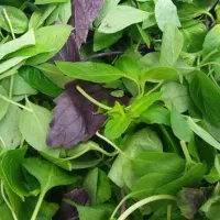 نفر برای پاک کردن سبزی
