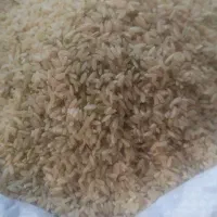 برنج قهوه ای کامفیروز فارس