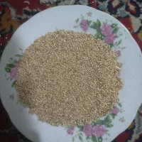 ارزن ایرانی