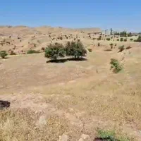 زمین کشاوری مشاع سند تک برگ|فروش زمین و ملک کلنگی|مسجد سلیمان, |دیوار