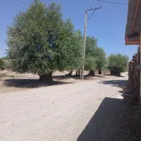 ۱۵۰ قصب زمین کشاورزی/۲۰ متر بر جاده اصلی حسن آباد|فروش زمین و ملک کلنگی|بافت, |دیوار