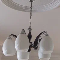 ۲ عدد لوستر ۵ شاخه.سالم