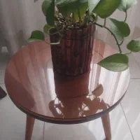 میز جلو مبلی|مبلمان خانگی و میز عسلی|گلبهار, شهر جدید گلبهار|دیوار