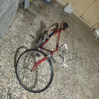 دوچرخه نیم کورسی