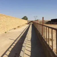 فرصت ویژه اجاره گاوداری با موقعیت مناسب|اجارهٔ دفتر صنعتی، کشاورزی، تجاری|مشهد, صیاد شیرازی|دیوار