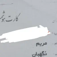 کیف کارت گمشده (چرم قهوه ای)