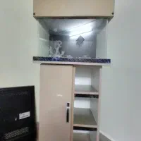 آکواریوم فوری