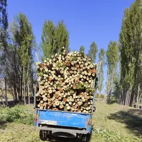 خرید چوب تر، خشک ، ضایعات به قیمت بالا|خدمات باغبانی و درختکاری|خوی, |دیوار