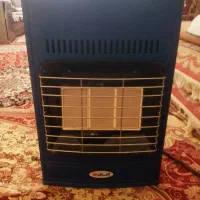 بخاری ابسال درحد