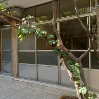 اجاره خانه|اجارهٔ خانه و ویلا|تهران, شهرک طالقانی|دیوار