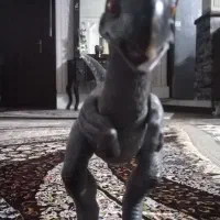 اسباب بازی حیوانات|اسباب‌‌بازی|مشهد, امیریه|دیوار